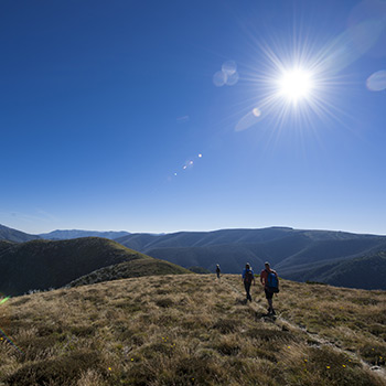 Hiking on Mt Hotham in the summer