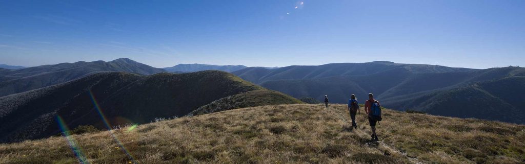 Hiking on Mt Hotham in the summer